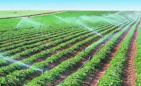 视频骚穴农田高 效节水灌溉
